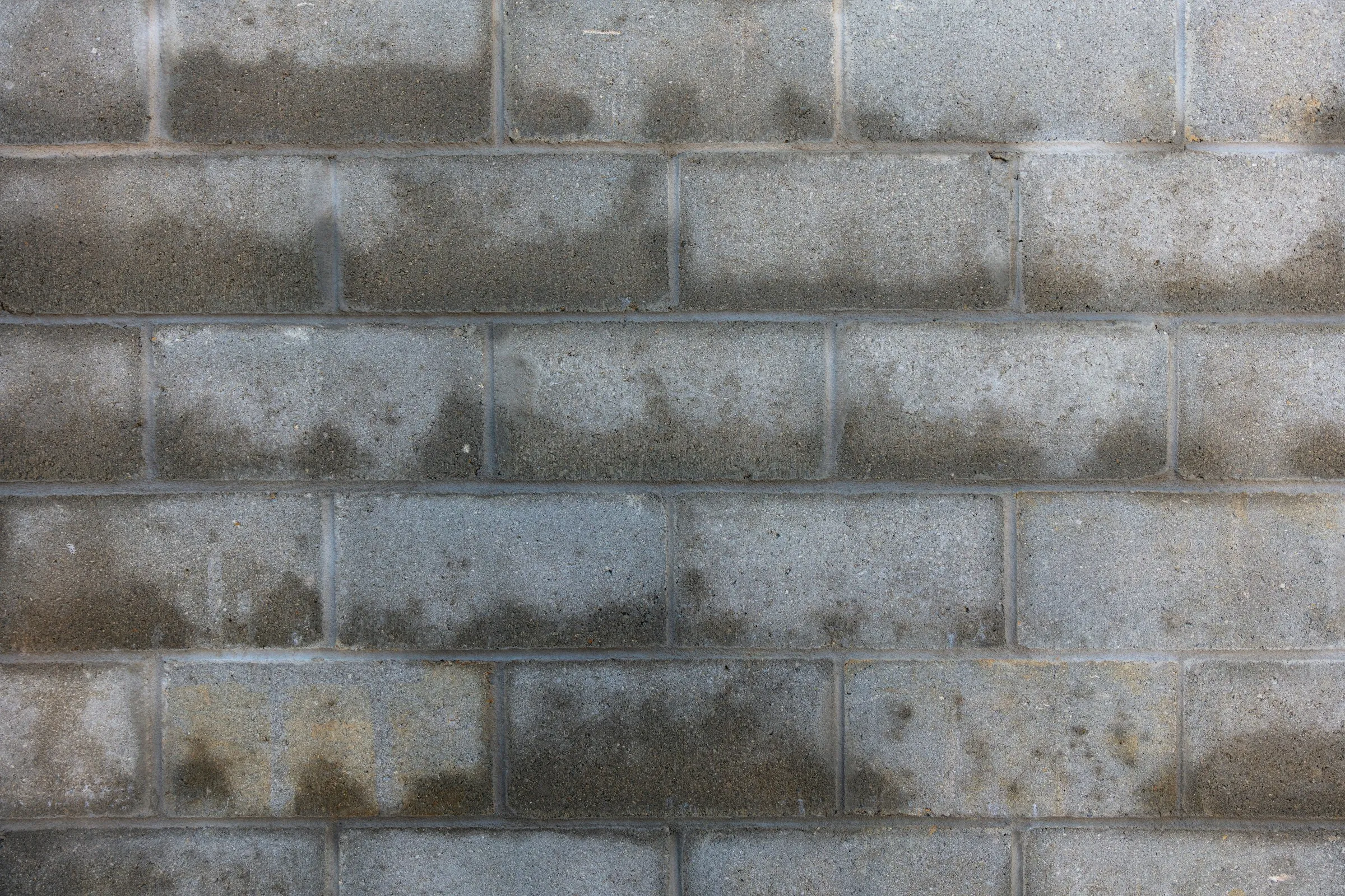 Damp proofing injection process